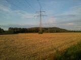 Blick auf die Halde von der Guissener Straße