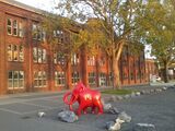 Das Ahlener Mammut